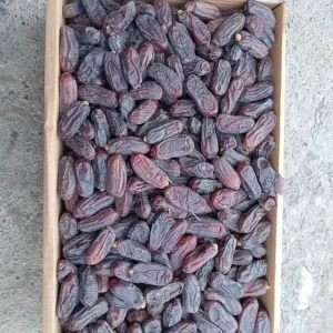 خرمای ربی بلوچستان